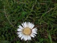 /album/fotogalerij/a2012-08-11-15-28-56-jpg/